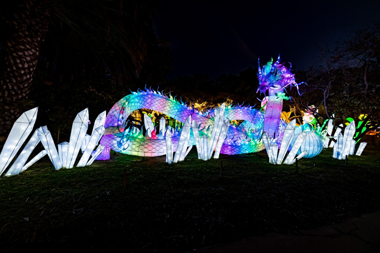 A massive dragon from Tianyu Lights Festival.