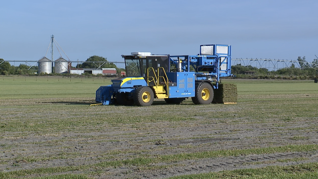 council-growers-automated-sod-harvester.png