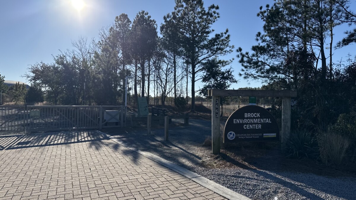 Virginia Beach Tree Canopy Loss