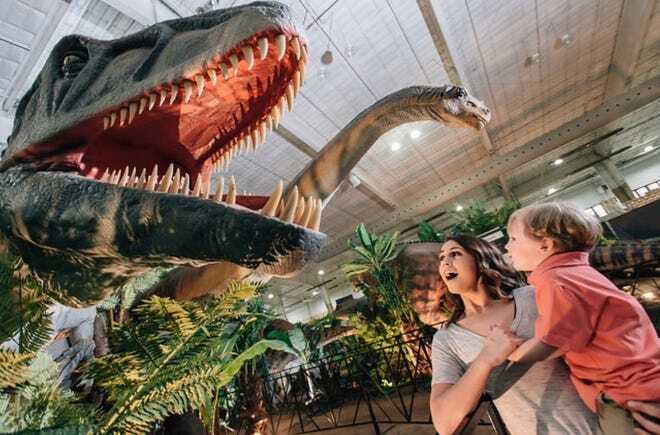 Families enjoying the life-like exhibits