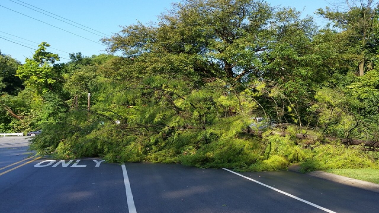 PHOTOS: Ominous clouds, downed trees, flooding