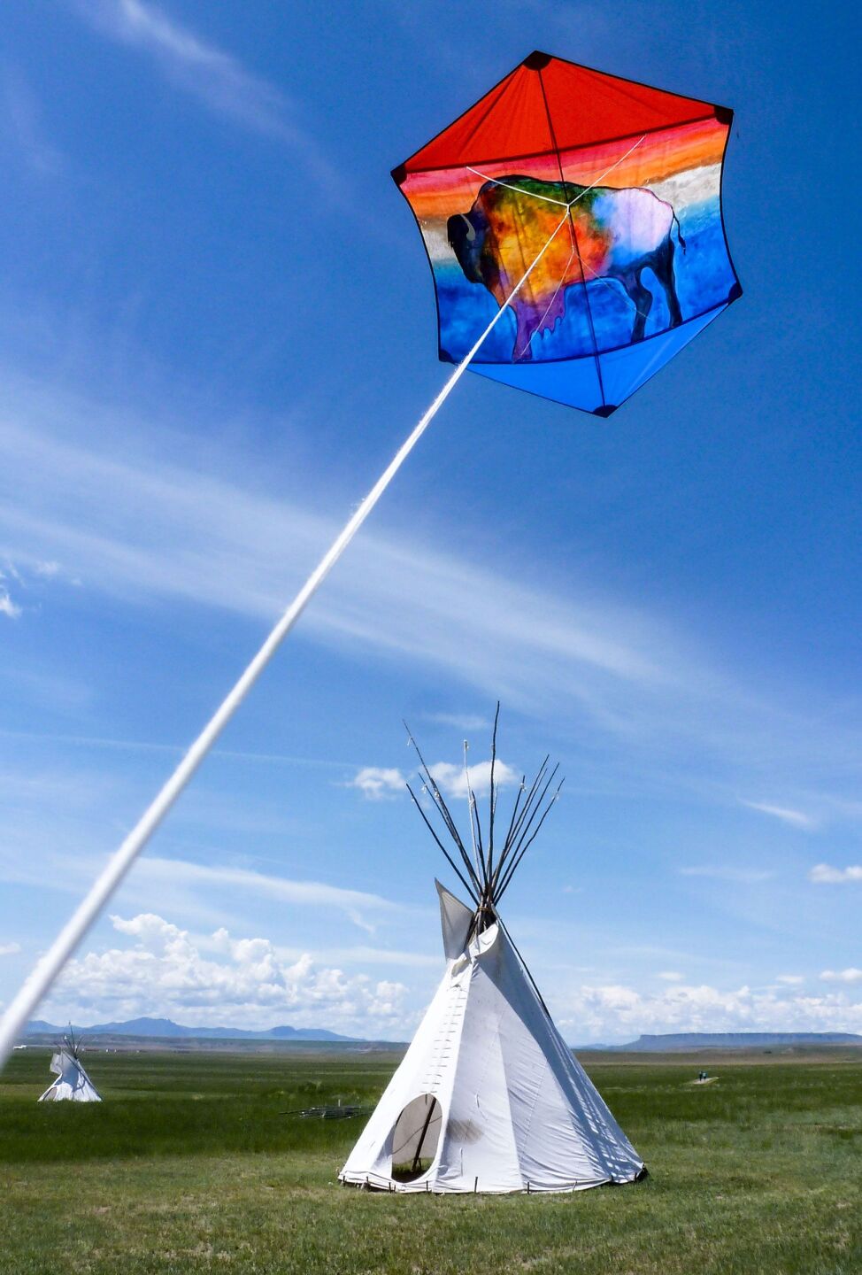 Coming up Buffalo Kite Festival