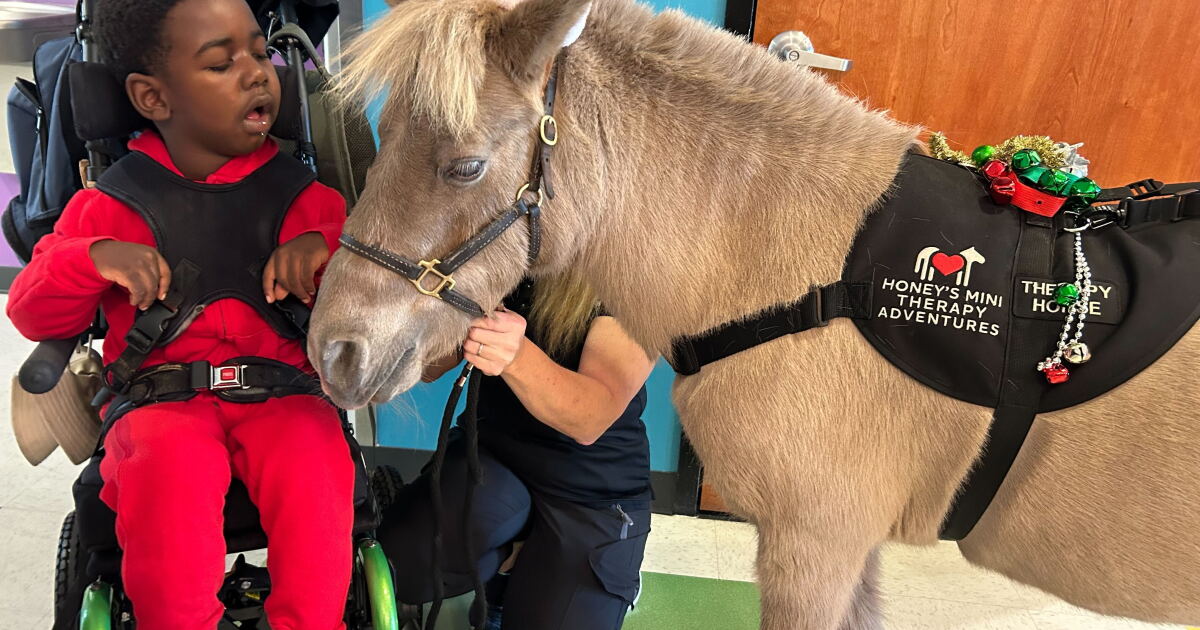 Honey's Mini Therapy Adventures has huge impact on local kids - Vimarsana News