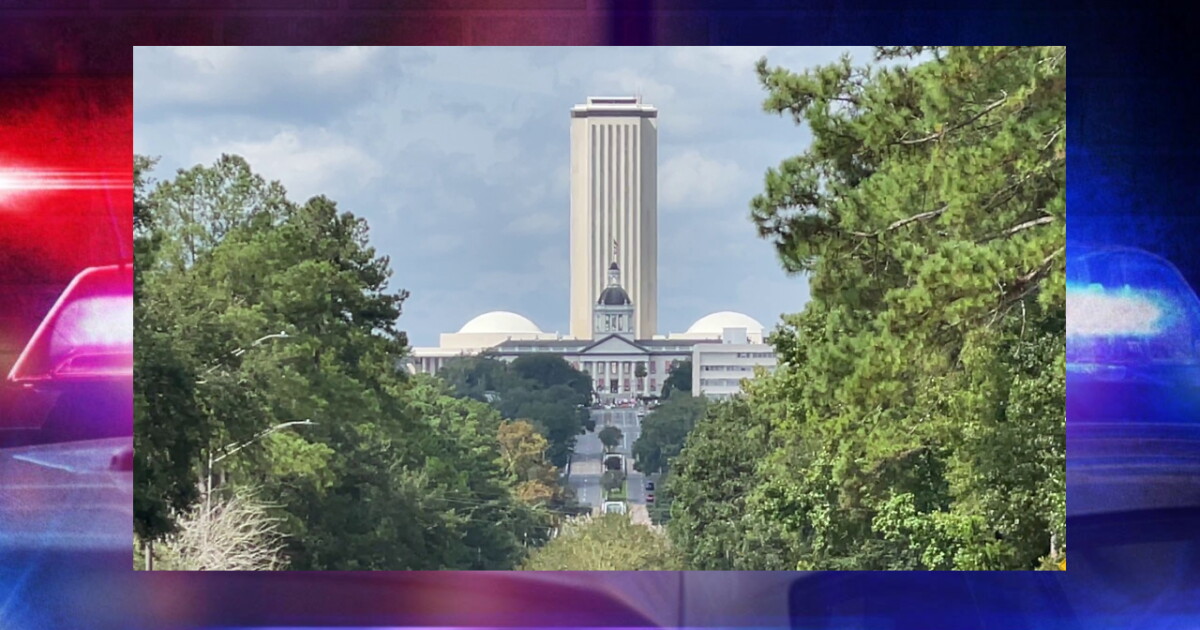 WHAT WOULD YOU DO? Tallahassee leaders seeking solutions for gun violence - Vimarsana News