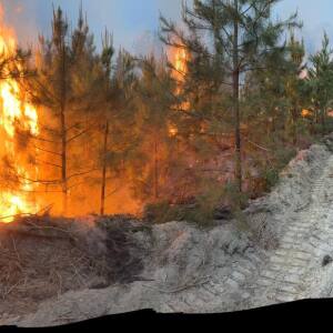 Brush fire off Moseley Road in Chesterfield 