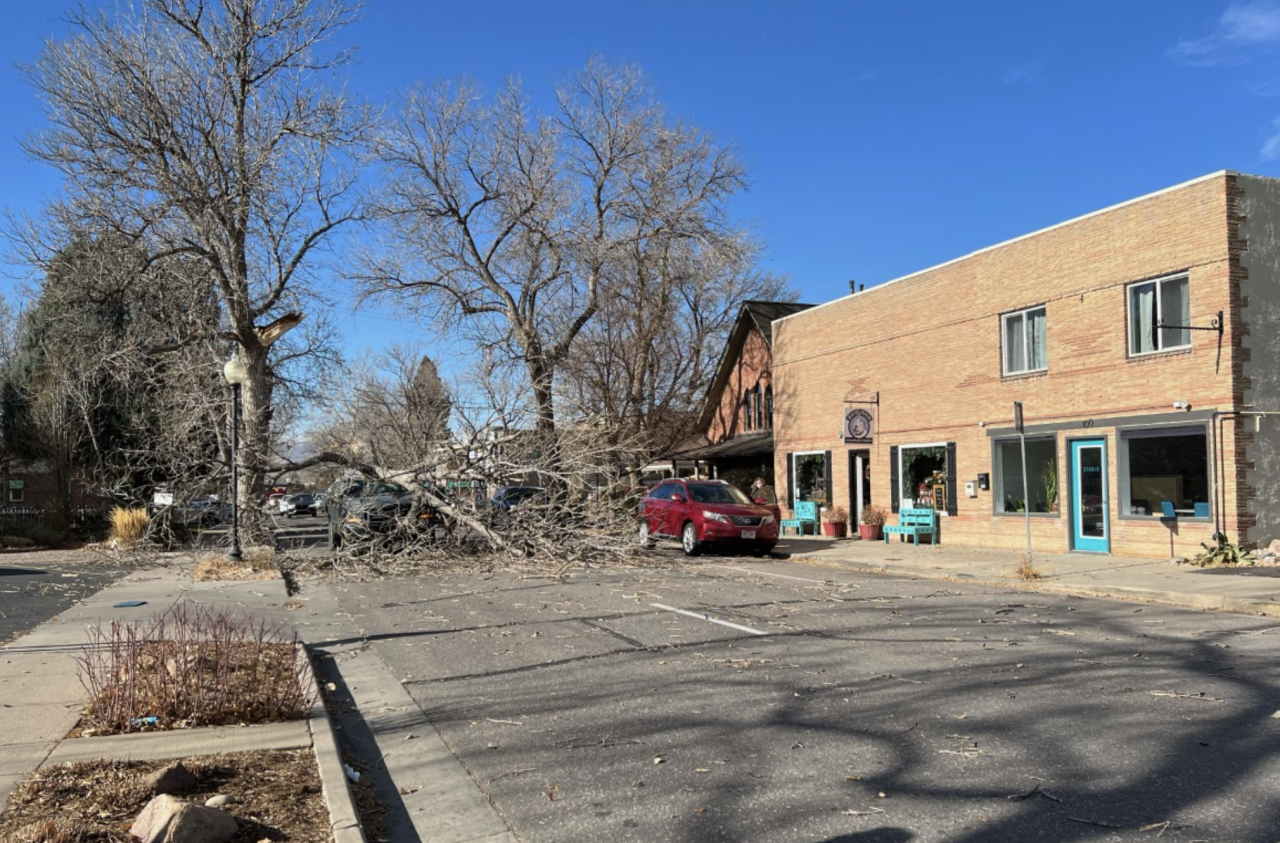 Screen Shot 2021-12-15 at 11.58.47 AM.png