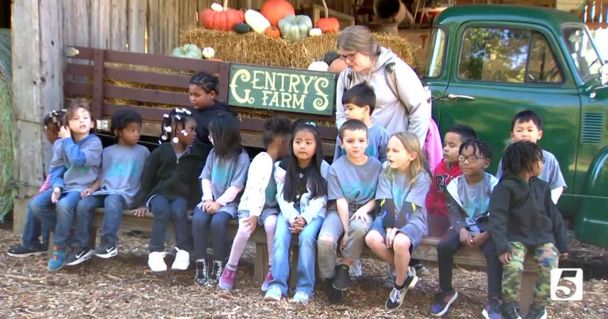 Ms Cheap Shares Some Fun Fall Activities ms-cheap-shares-some-fun-fall-activities