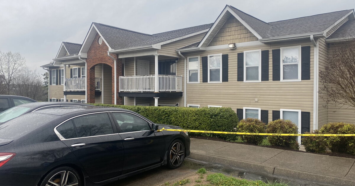 Police: Homeowner shoots man in attempted burglary