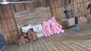 Toys for Tots Christmas 2025