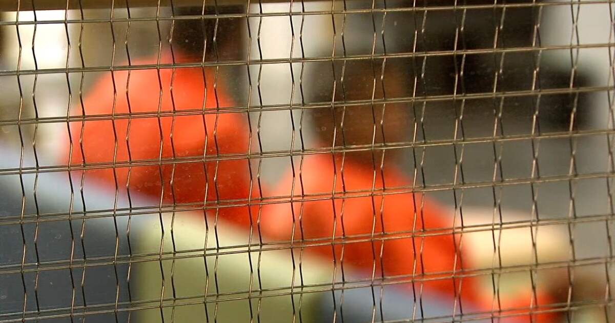 Migrant held in solitary confinement for 759 days at Otay Mesa Detention Center - Vimarsana News