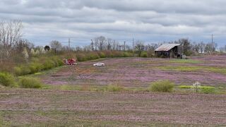IMG_9780.jpg