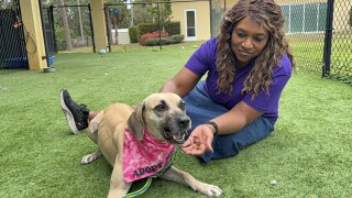 Tania and Gracie Underdog