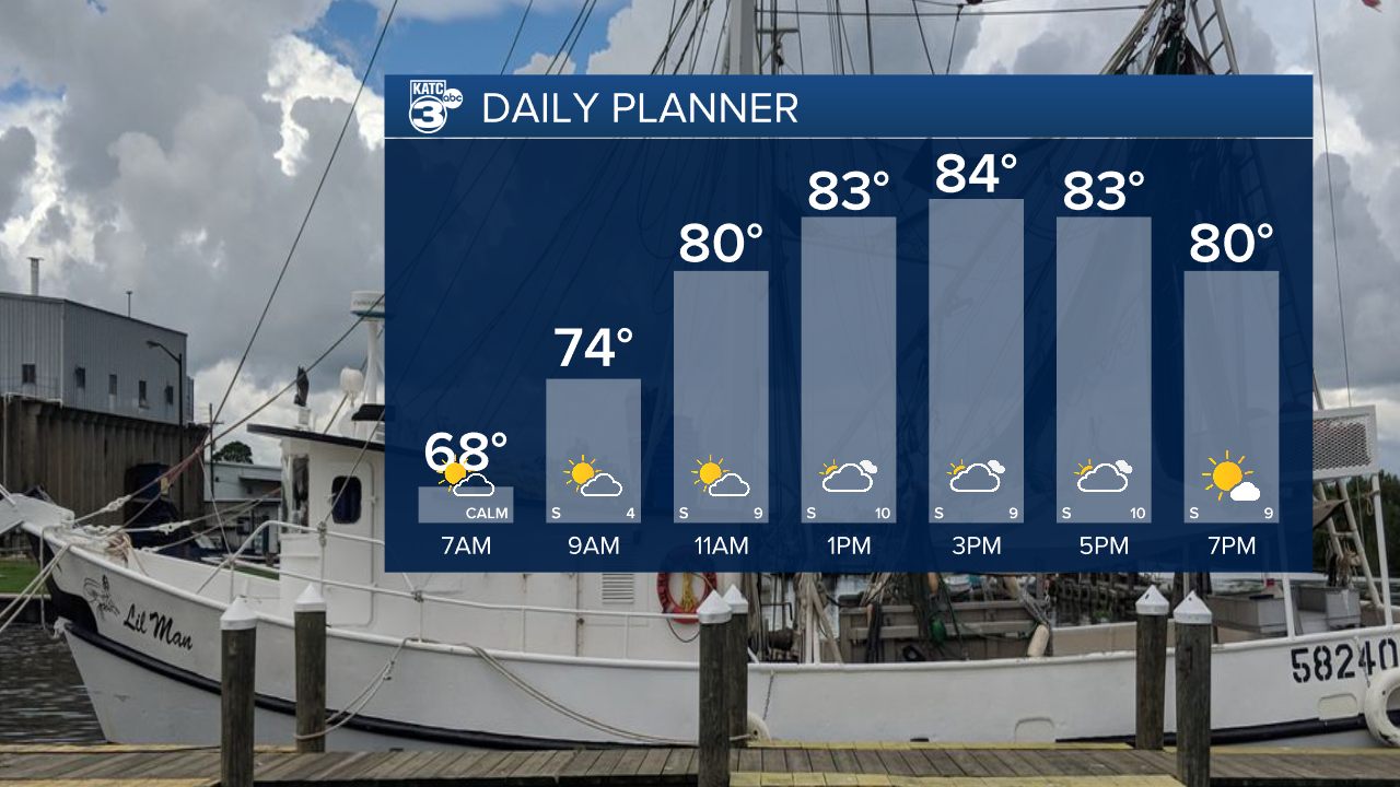 Daniel Day Planner.png