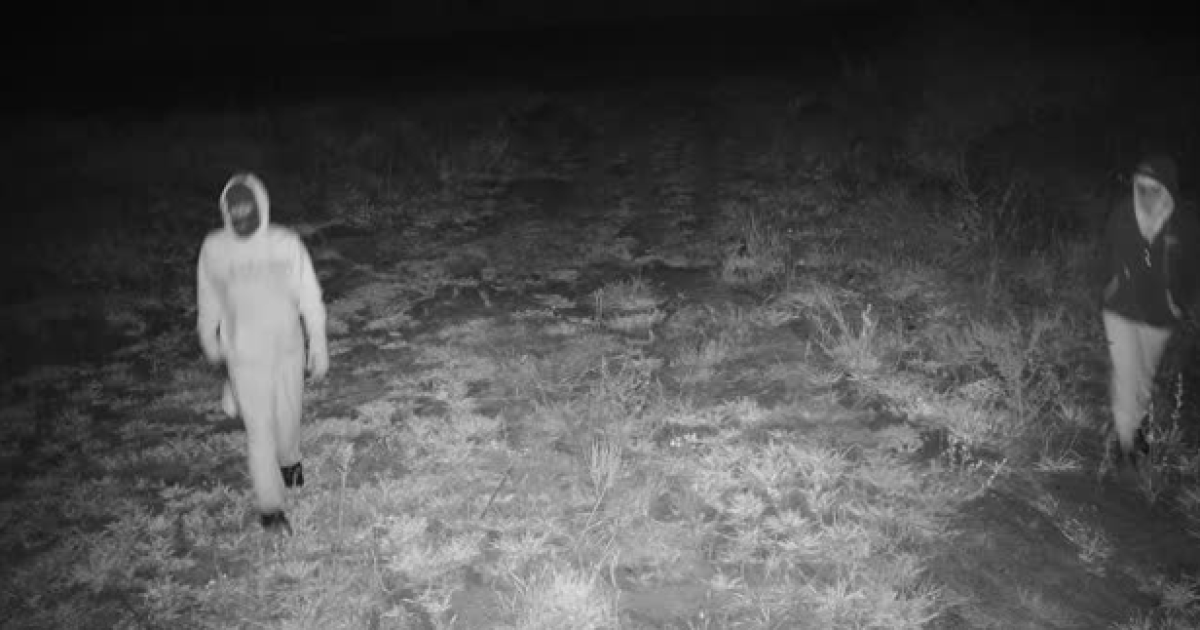 Tools & building materials stolen during St. Joe County burglary - Vimarsana News