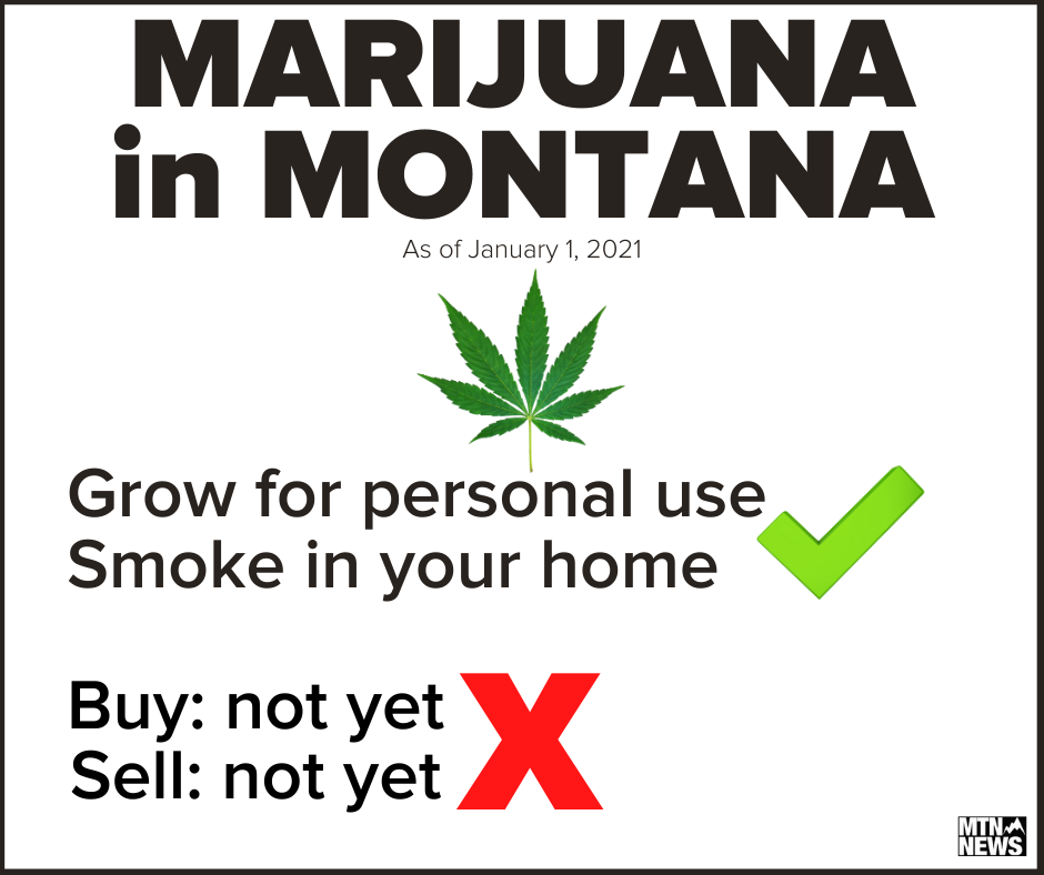 marijuana in montana.png