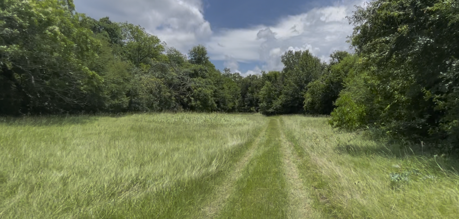 SpaceX Terafab neighbors face life-changing land buy offers outside reinvestment zone