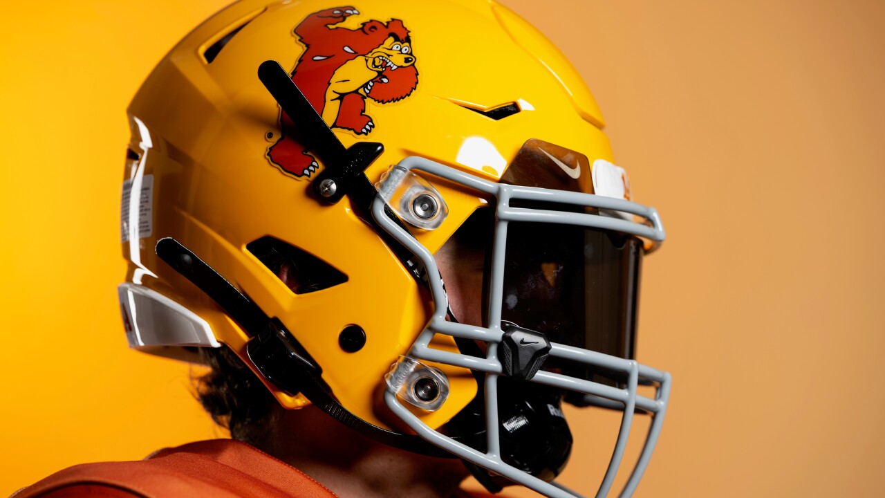griz helmet.jpg