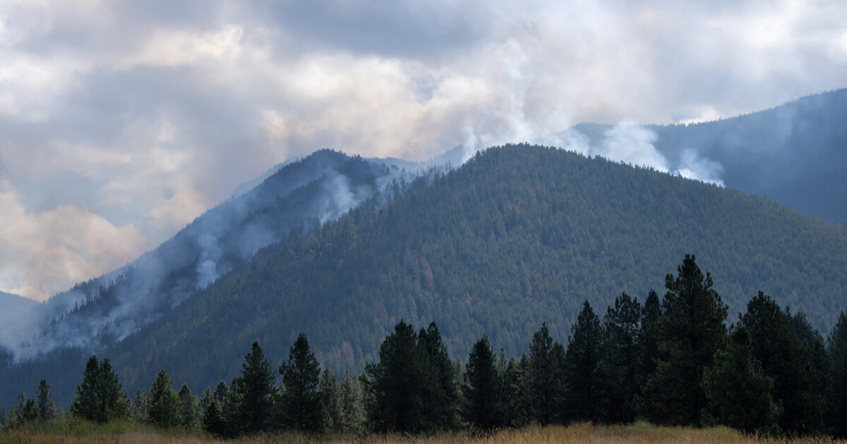 Big Knife Fire near Arlee now at 148 acres burned - Vimarsana News