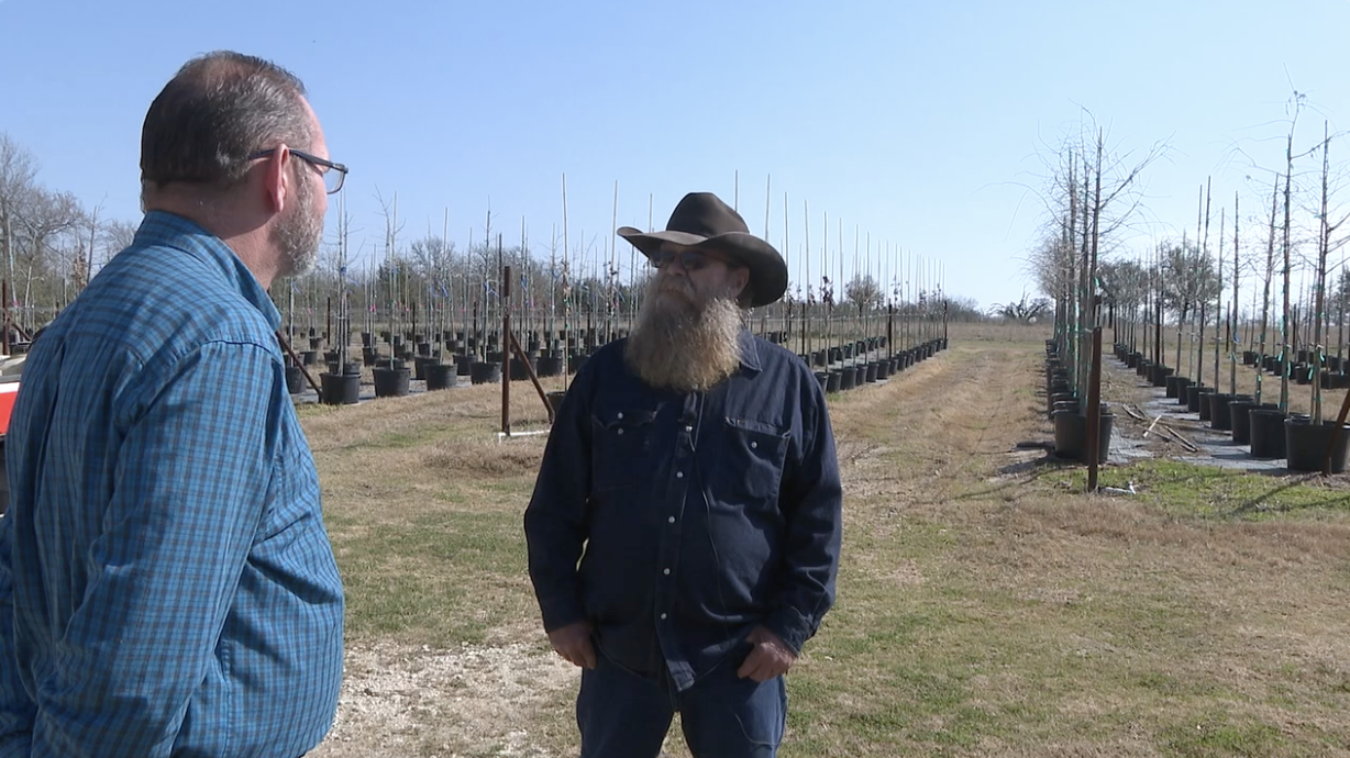 Bob Arndt, owner of Bob's Tree Farm