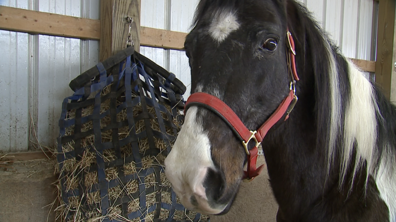 Screen Shot 2022-03-04 at 2.49.52 PM.png