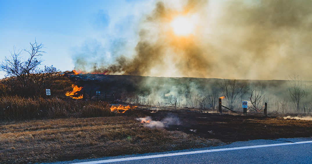 Polk County Wildfire
