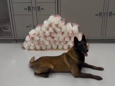 100 pounds of methamphetamine seized by Mesquite Police canine and handler
