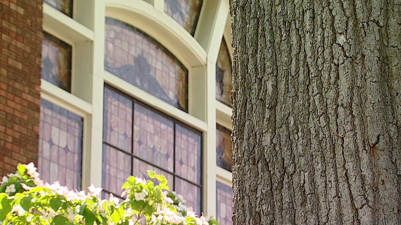 Neland Avenue CRC 2.png