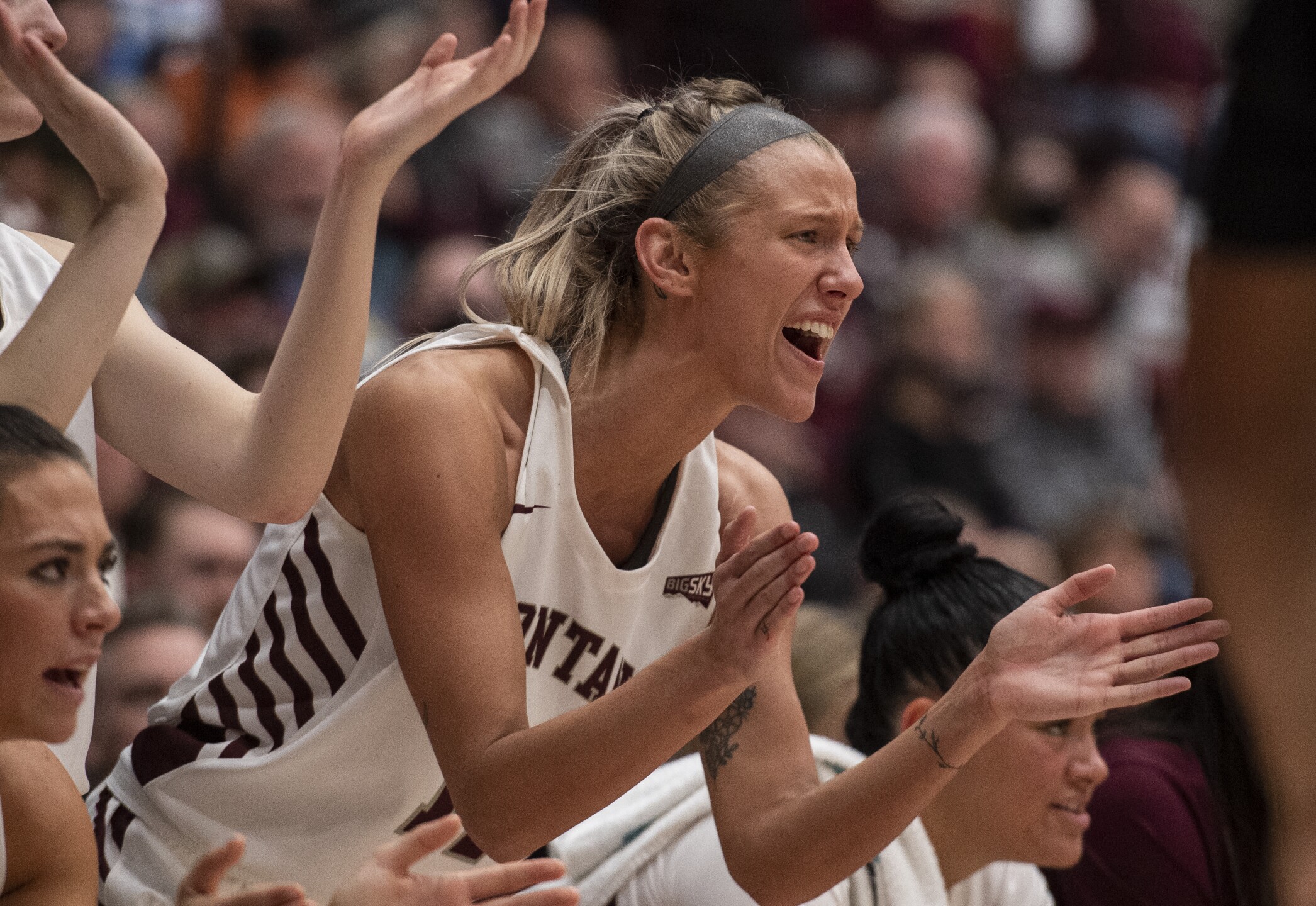 Photos Montana and Montana State women's CatGriz game