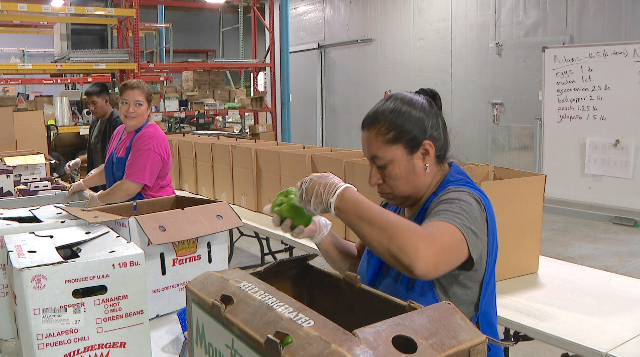 East Denver Food Hub packing boxes