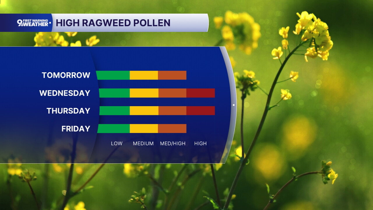 Pollen forecast