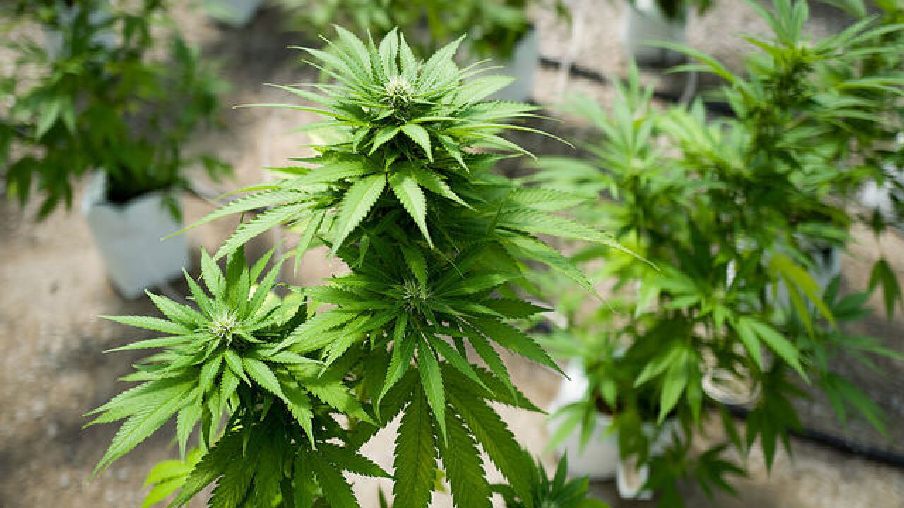 Police recognize 4/20 with hilarious Tweets, photos