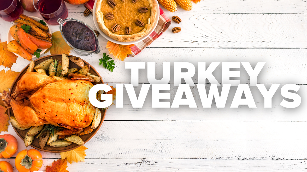 TURKWEB.png
