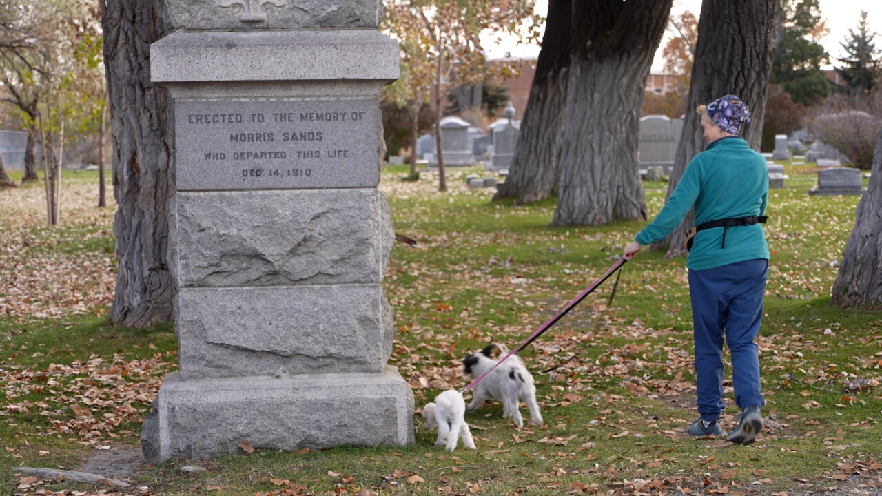 Dog walking