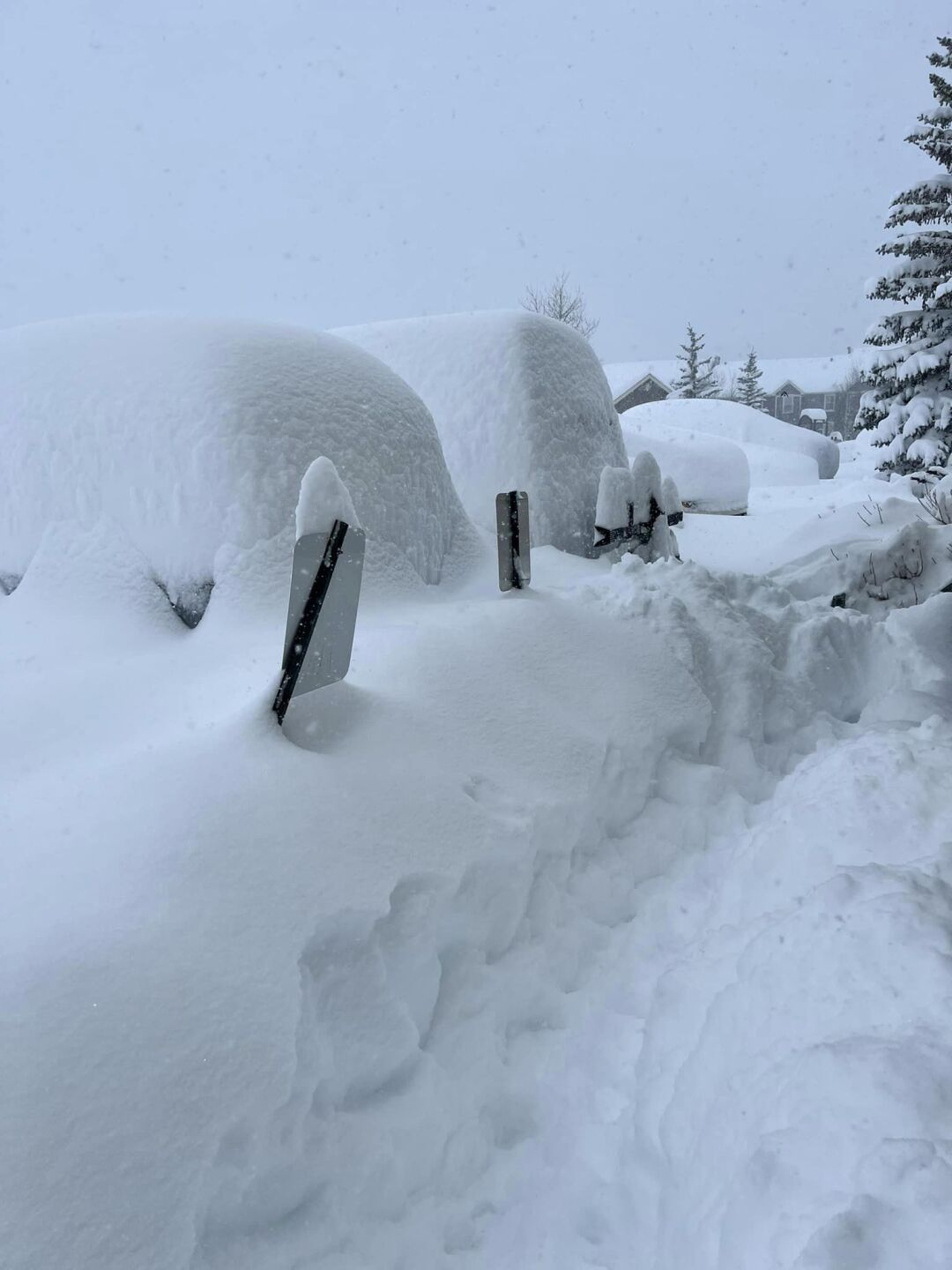 central city linda pribble2.jpg