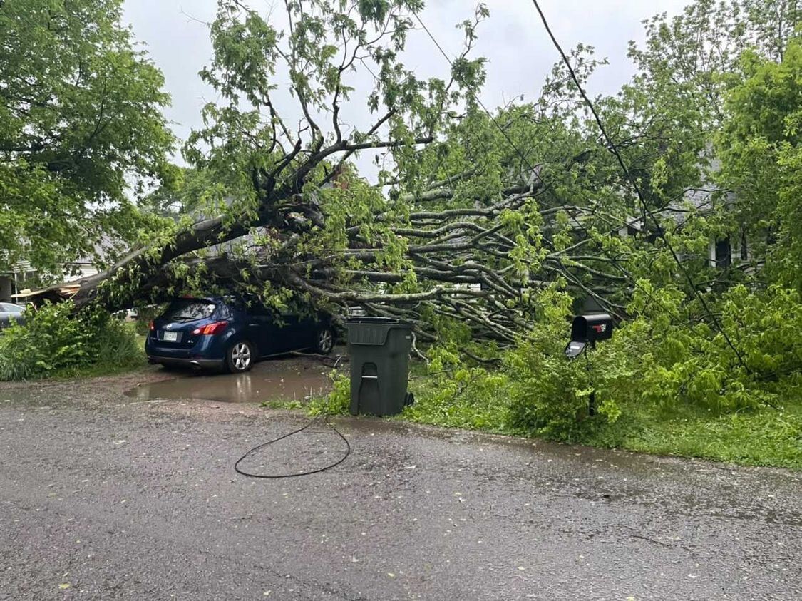 Gallatin storm damage