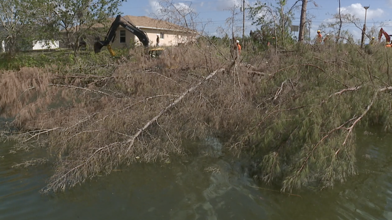 debris removal from Cape Coral cansls