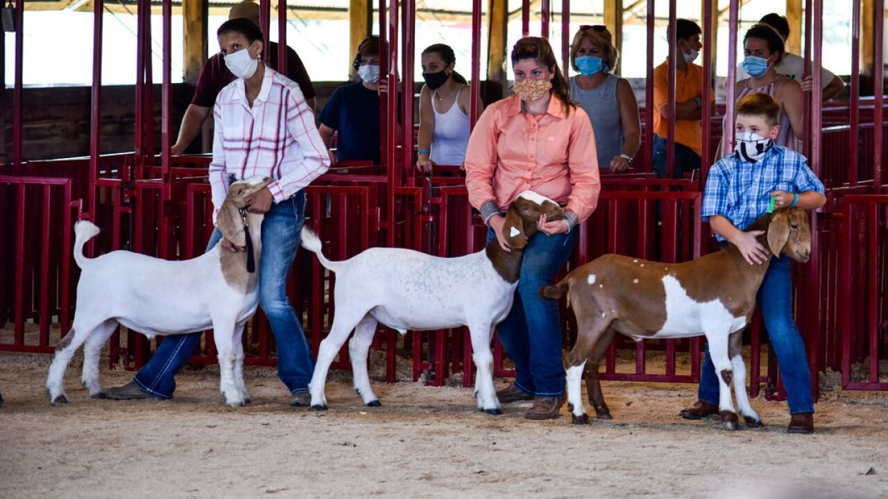 Butler Co. fair is on this summer, but with restrictions Butler Co. fair is on this summer, but with restrictions