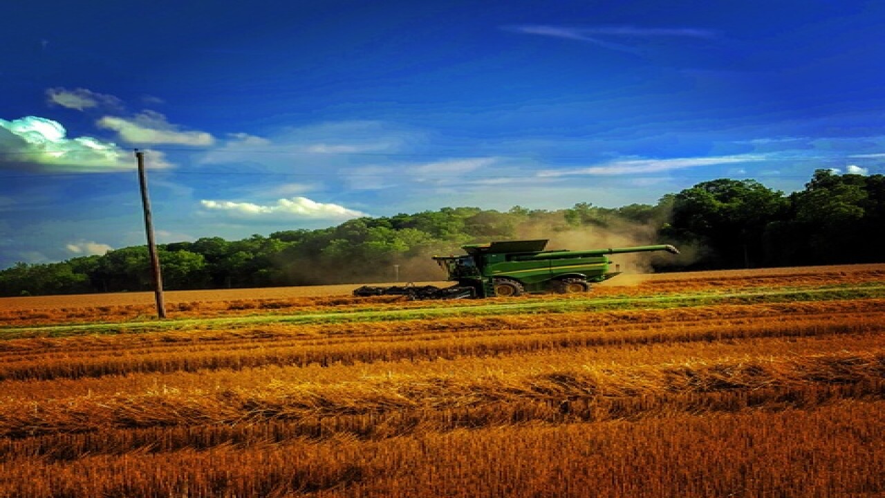 PHOTOS: Harvest time in Indiana