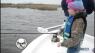 K9 Fishing and Full Deck Charters p1
