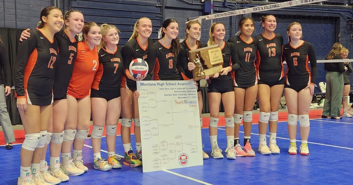 State A volleyball Hardin brings home first title since 2002