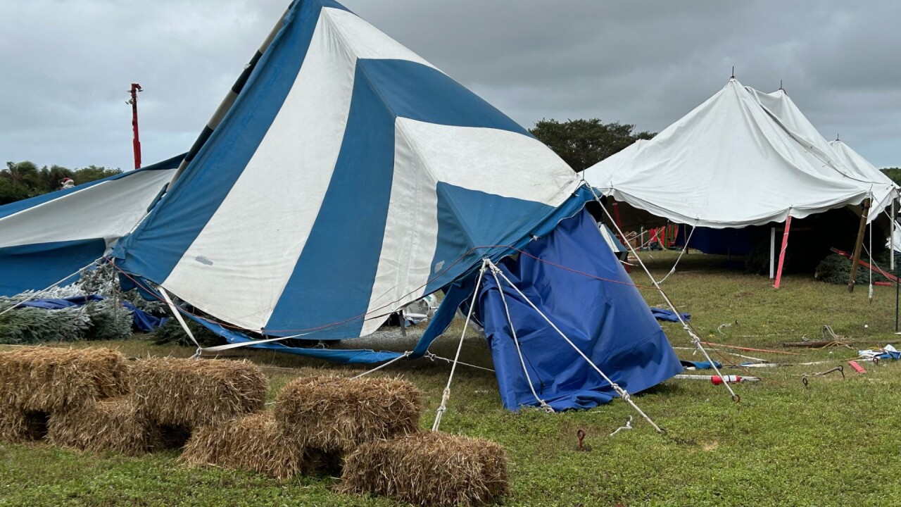 A tent damaged at a Christmas tree farm in Palm Beach County on Nov. 16, 2023.jpg
