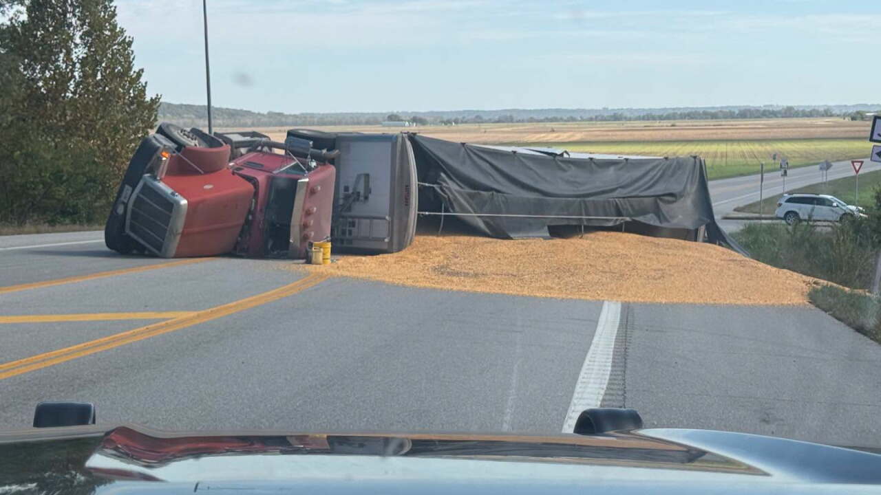 corn on 210.jpeg