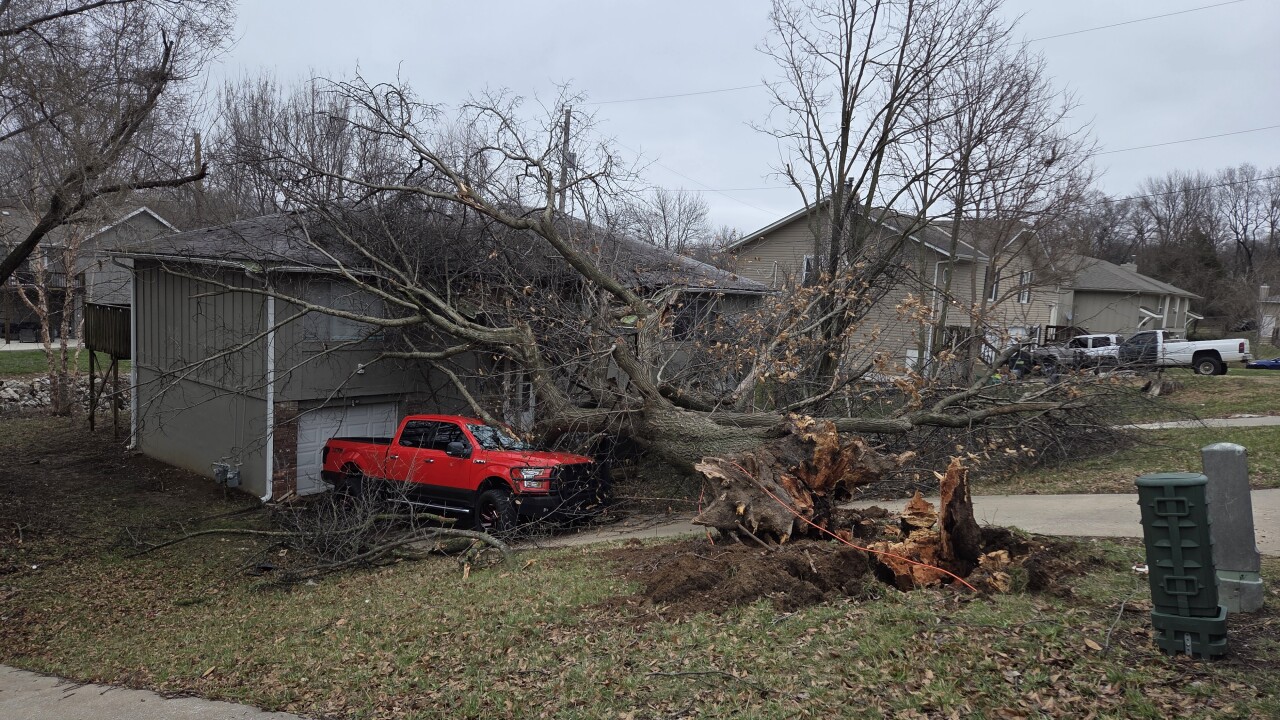 tree down at 52nd and Knox Ave in Merriam