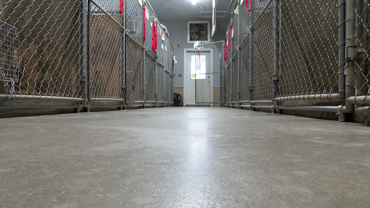 Kennels at Lewis and Clark Humane Society