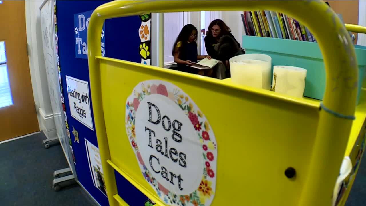 Reggie therapy dog participates in 'Dog Tales' program at Mandel Public Library