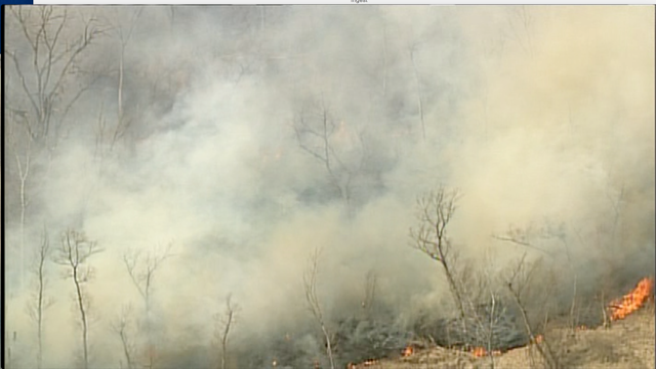 PHOTOS:50+ acres burned in Platte Co. grass fire