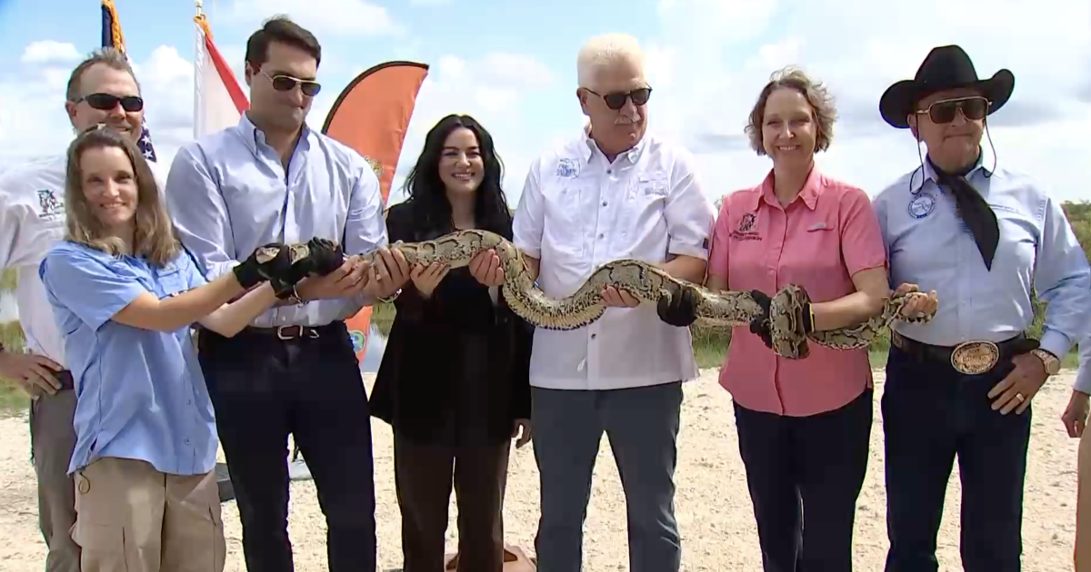 Registration begins for Florida's 2023 Python Challenge