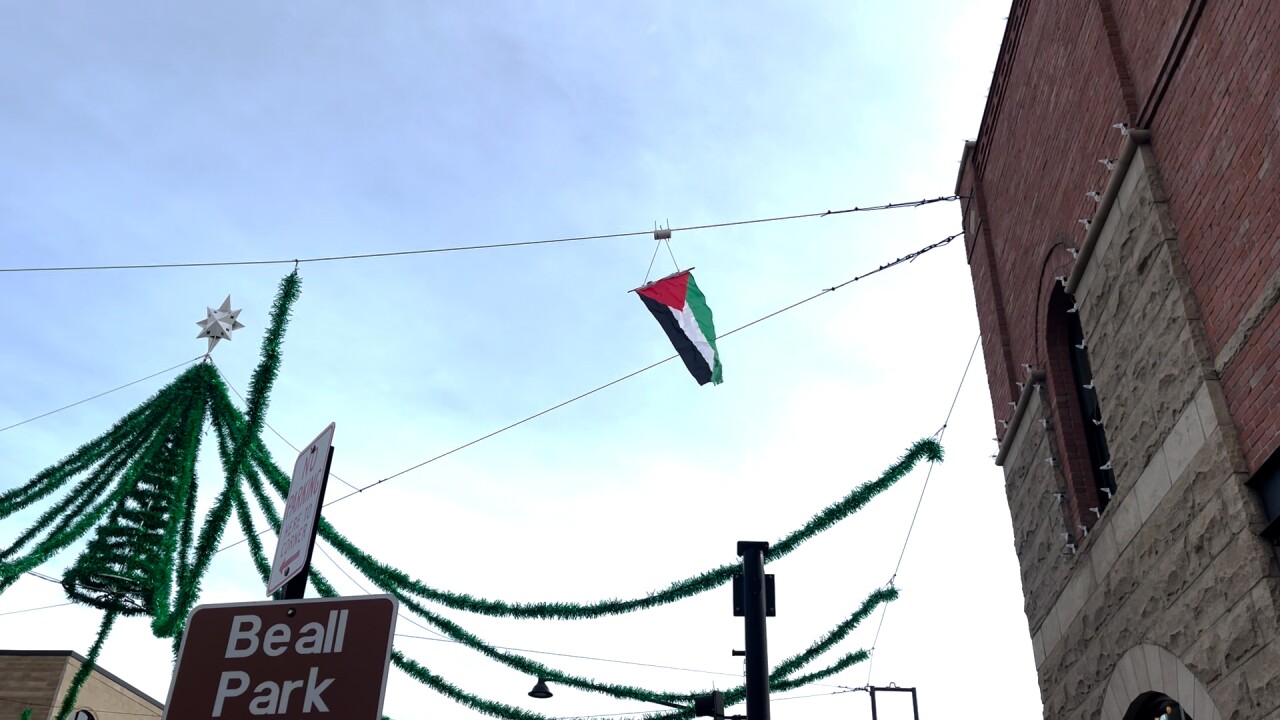 Palestine Flag .jpg