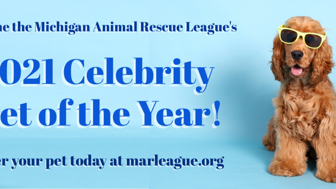 2021 Celebrity Pet of the Year