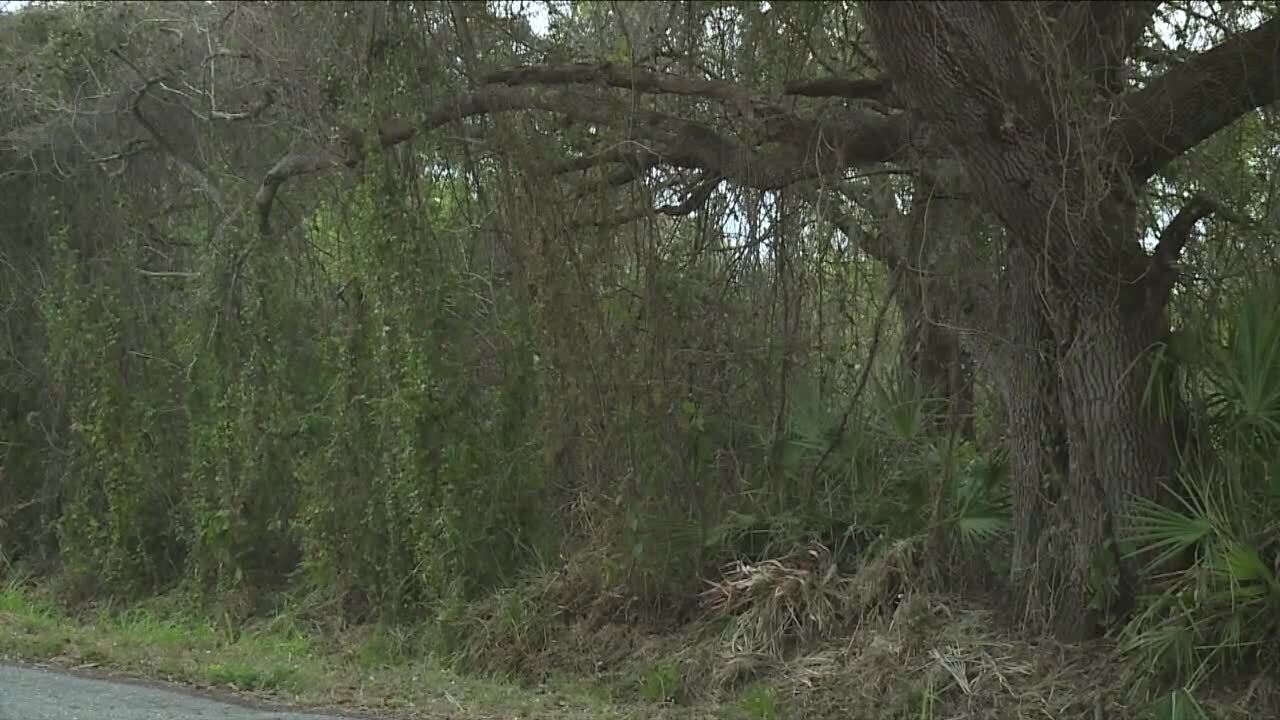 Where humans remains were located Saturday in Okeechobee County